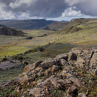 Bale Mountains - Sanetti Plateau